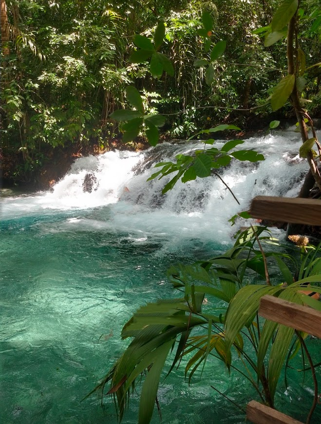 Amazing Places to Visit in Jalapão,
ant waterfall