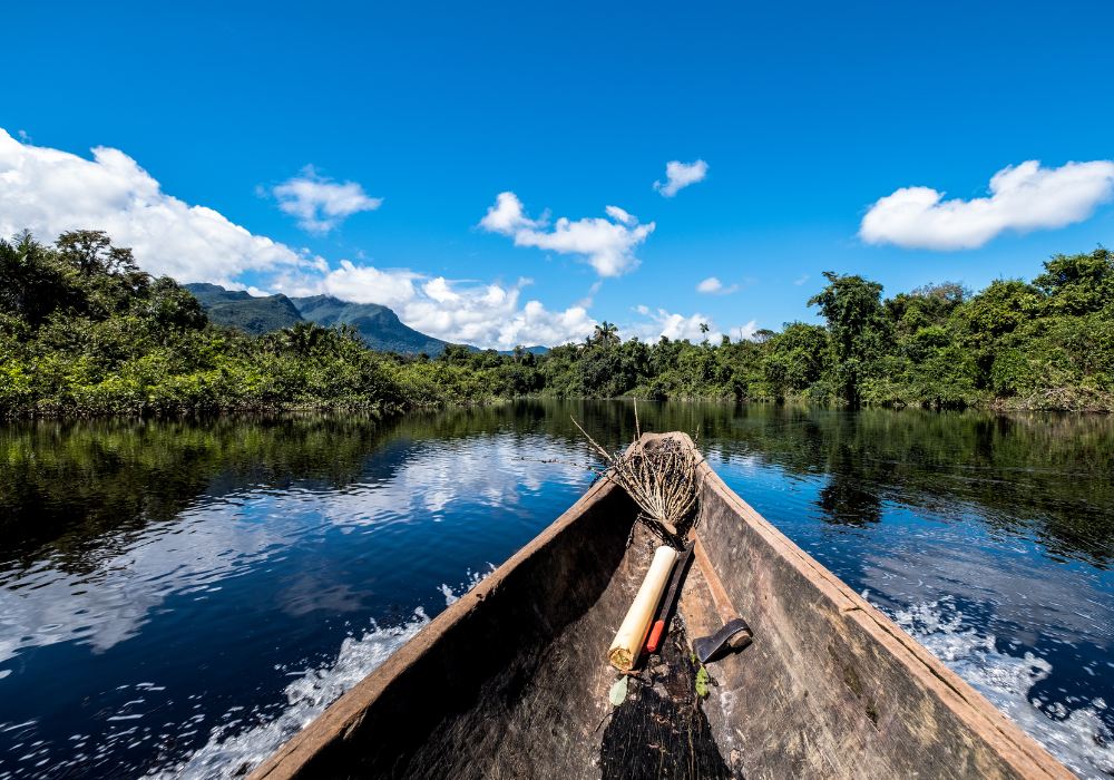 Amazon Rainforest 