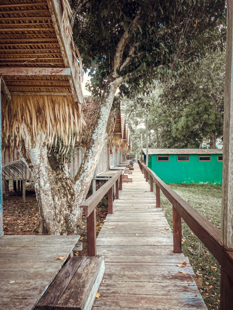 Amazon Rainforest Travel Guide, Hotel Juma Lake 